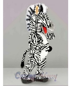 Zebra Mascot Costume  