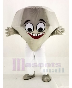Silver Diamond Mascot Costume Cartoon