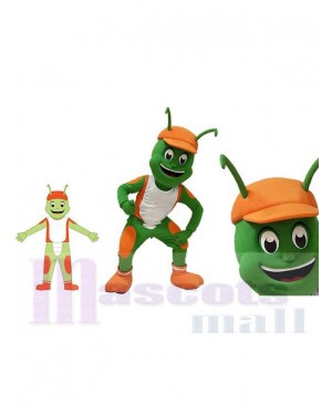 Insect mascot costume