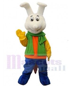 Bunny Rabbit mascot costume