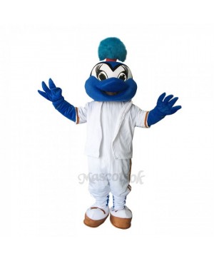 Lovely  Blue birds Mascot Costumes