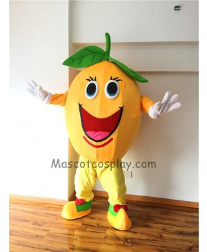 Cute Round Orange Plush Mascot Costume