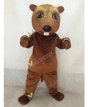 New Lovely Beaver Mascot Costume