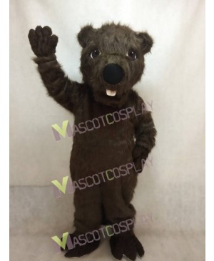 Cute New Beaver Mascot Costume