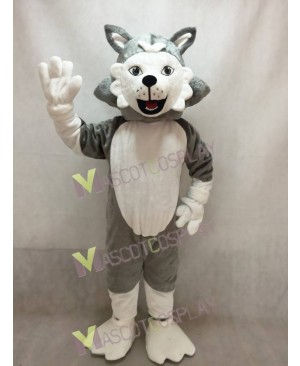 Cute Wolf Dog Mascot Costume
