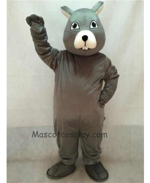 High Quality Vivid Gray Squirrel Mascot Costume