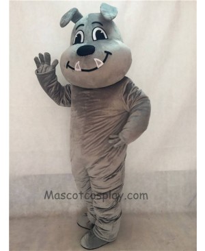 Gray Tuffy Bulldog Mascot Costume