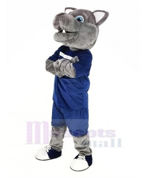 Gray Wolf in Sport Suit Mascot Costume Animal