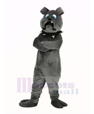 Fierce Grey Bulldog Mascot Costume