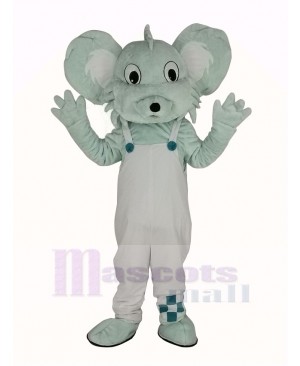 Grey Koala in White Coat Mascot Costume