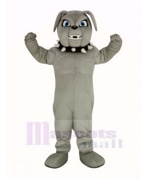 Gray Bulldog Mascot Costume