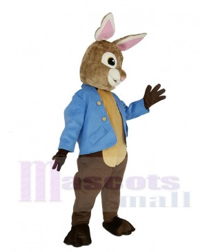 Brown and Gray Peter Rabbit Mascot Costume