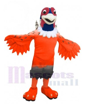 Pheasant mascot costume