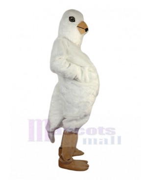 Pigeon mascot costume