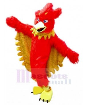 Bird mascot costum