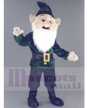 Friendly Christmas Elf Mascot Costume Cartoon