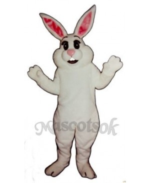 Easter Honey Bunny Rabbit Mascot Costume Mascot Costume