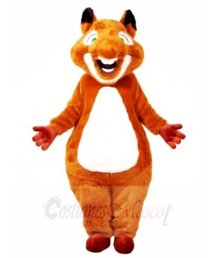 Brown Chubby Squirrel Mascot Costumes Animal