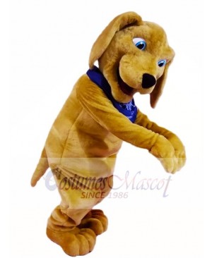 Brown Dog Mascot Costumes