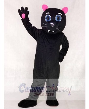 Red Ears and Paws Black Sir Purr of the Carolina Panthers Mascot Costumes