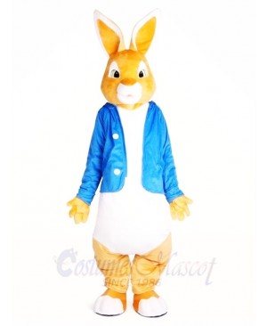 Peter Rabbit Easter Bunny Mascot Costumes Cartoon