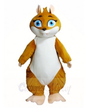 Walking Actor Squirrel Mascot Costumes Animal