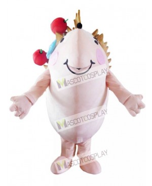 Hedgehog with Red Apples Mascot Costume Animal