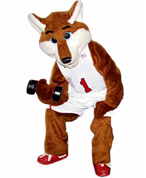 Basketball Sport Fox Mascot Costume Costume