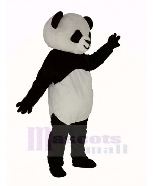 Cute Shorthair Panda Mascot Costume