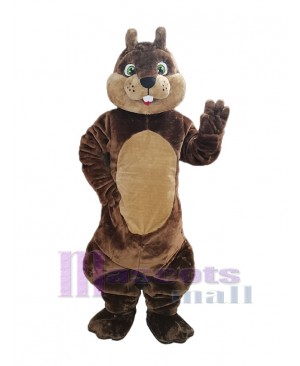 Lovely Squirrel Mascot Costume Animal
