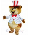 Huge Teddy Mascot Costumes Brown Bear Costume
