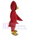 Cardinal Bird mascot costume