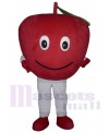 Apple Fruit mascot costume