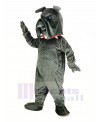 Dark Gray Bully Bulldog Mascot Costume Animal