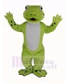 Cute Happy Frog Mascot Costume