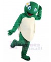 Sea Turtle mascot costume