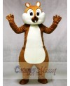 Cute Squirrel Mascot Costumes Forest Animal