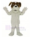 Saint Bernard Dog Mascot Costume Animal