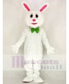 Funny Easter Bunny Rabbit Mascot Costume Animal