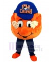 Ball mascot costume