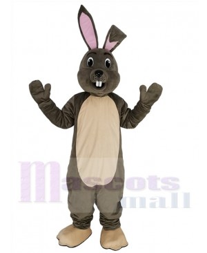 Happy Grey Easter Bunny Rabbit Mascot Costume Animal