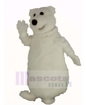 Giant Fat Polar Bear Mascot Costume