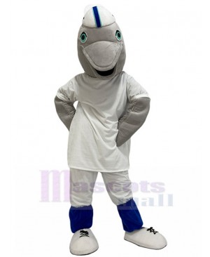 Grey Dolphin Miami Dolphins Mascot Costume Animal