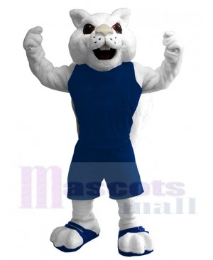 White Squirrel Mascot Costume Animal in Blue Jersey