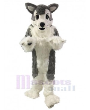 Long Hair Gray Wolf Husky Dog Mascot Costume Animal