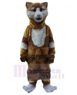 Confused Brown and White Cat Mascot Costume Animal