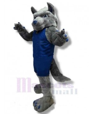Strong College Wolf Mascot Costume Animal in Blue Sportswear
