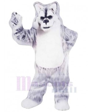 Gray and White Older Wolf Mascot Costume Animal