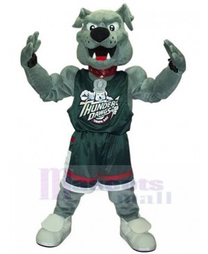 Muscular Grey Bulldog Thunder The Dawg Mascot Costume Animal