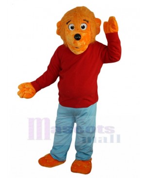 Well-dressed Berenstain Bear Mascot Costume Cartoon